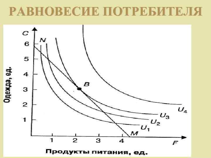 РАВНОВЕСИЕ ПОТРЕБИТЕЛЯ 