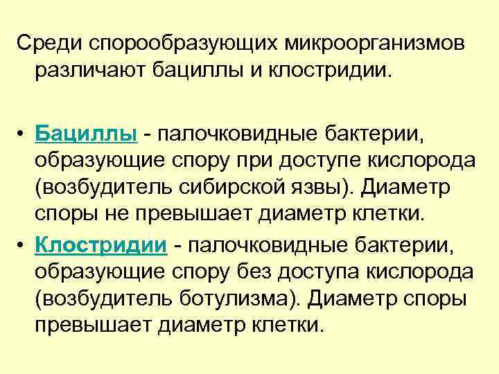 Среди спорообразующих микроорганизмов различают бациллы и клостридии.  • Бациллы - палочковидные бактерии, 