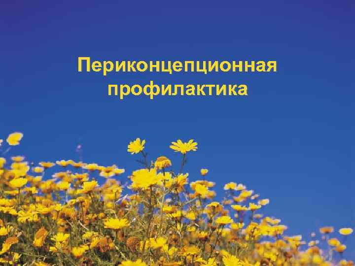 Периконцепционная  профилактика 