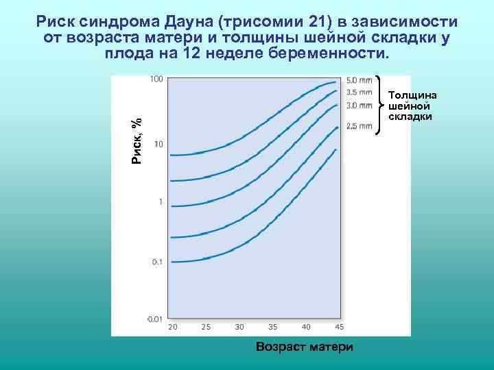 Риск синдрома Дауна (трисомии 21) в зависимости от возраста матери и толщины шейной складки