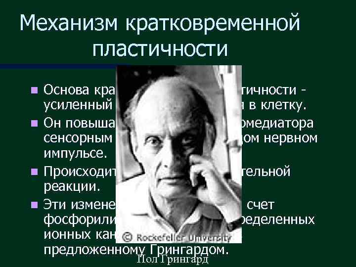 Механизм кратковременной  пластичности n  Основа кратковременной пластичности - усиленный вход ионов кальция