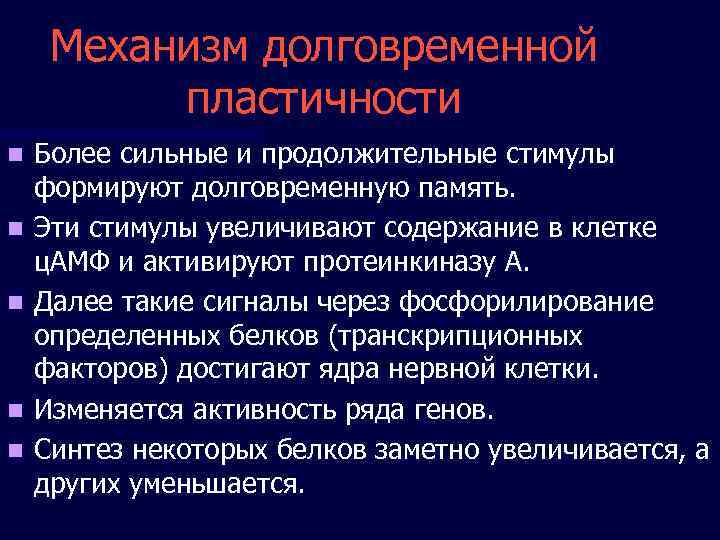  Механизм долговременной  пластичности n  Более сильные и продолжительные стимулы формируют долговременную