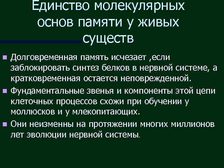 Основы памяти