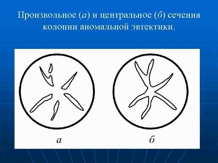 Произвольное (а) и центральное (б) сечения колонии аномальной эвтектики. 