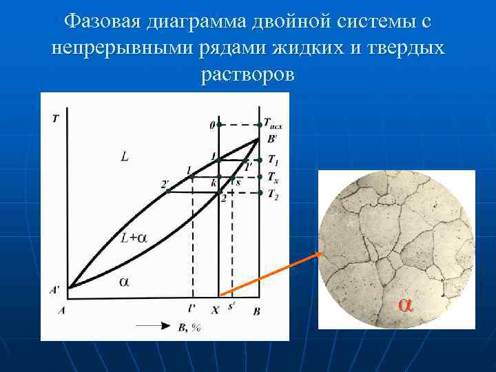 Виды фазовых диаграмм