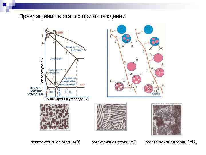 Превращения металлов. Схема эвтектоидного перлитного превращения. Структурные превращения в доэвтектоидных сталях. Превращения в сталях при охлаждении. Превращения в заэвтектоидной стали.