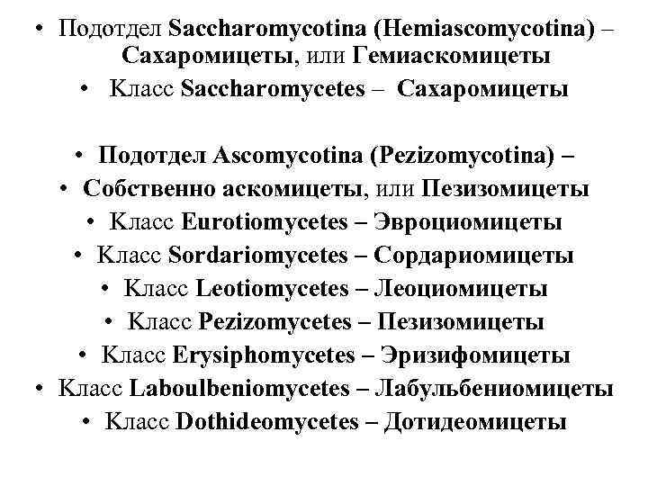  • Подотдел Saccharomycotina (Hemiascomycotina) –  Сахаромицеты, или Гемиаскомицеты • Kласс Saccharomycetes –