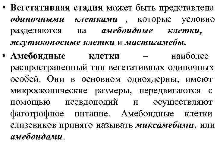  • Вегетативная стадия может быть представлена  одиночными клетками , которые условно 