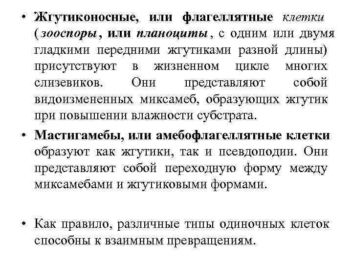  • Жгутиконосные, или флагеллятные клетки  ( зооспоры , или планоциты , с