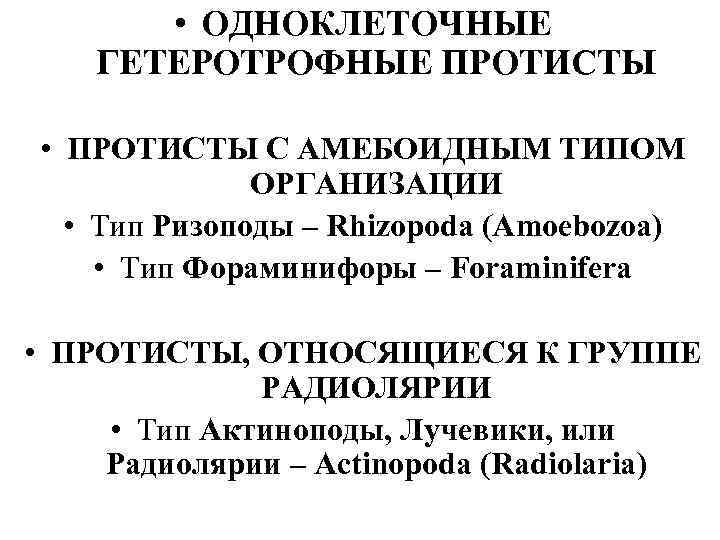   • ОДНОКЛЕТОЧНЫЕ ГЕТЕРОТРОФНЫЕ ПРОТИСТЫ  • ПРОТИСТЫ С АМЕБОИДНЫМ ТИПОМ  