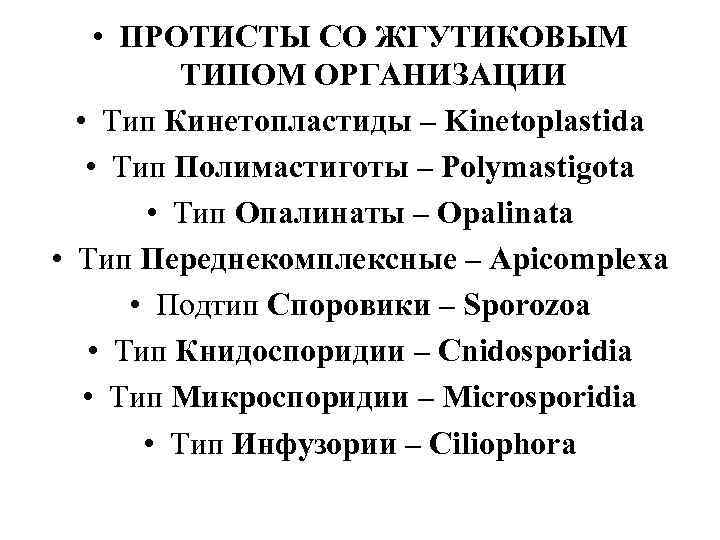  • ПРОТИСТЫ СО ЖГУТИКОВЫМ  ТИПОМ ОРГАНИЗАЦИИ  • Тип Кинетопластиды – Kinetoplastida