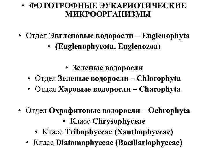  • ФОТОТРОФНЫЕ ЭУКАРИОТИЧЕСКИЕ   МИКРООРГАНИЗМЫ  • Отдел Эвгленовые водоросли – Euglenophyta