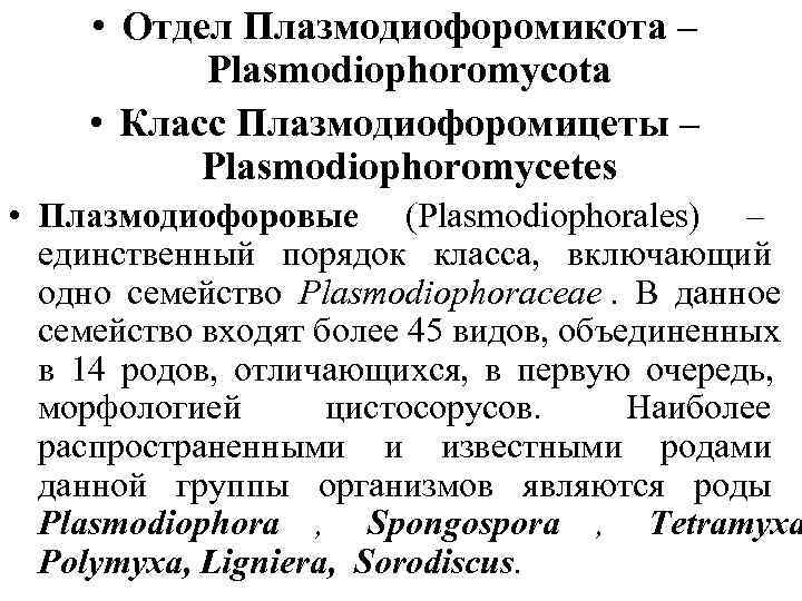  • Oтдел Плазмодиофоромикота –  Plasmodiophoromycota • Класс Плазмодиофоромицеты –  Plasmodiophoromycetes •