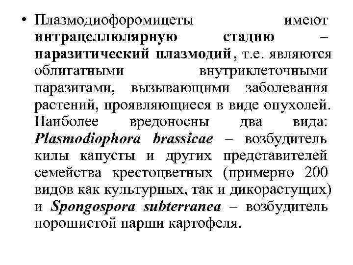  • Плазмодиофоромицеты    имеют  интрацеллюлярную  стадию  – 