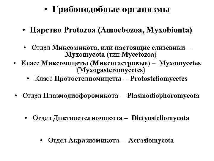    • Грибоподобные организмы • Царство Protozoa (Amoebozoa, Myxobionta) • Oтдел Миксомикота,