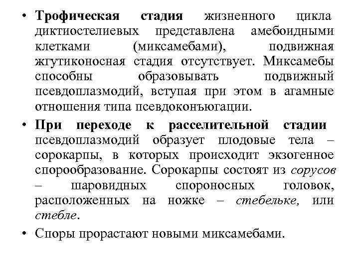  • Трофическая стадия жизненного цикла  диктиостелиевых представлена амебоидными  клетками (миксамебами), 