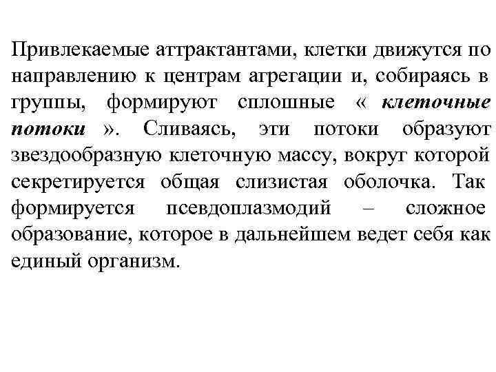  • Привлекаемые аттрактантами, клетки движутся по  направлению к центрам агрегации и, собираясь