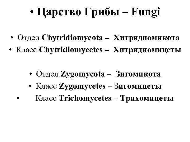  • Царство Грибы – Fungi  • Отдел Chytridiomycota – Хитридиомикота • Класс