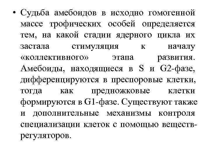  • Судьба амебоидов в исходно гомогенной  массе трофических особей определяется  тем,
