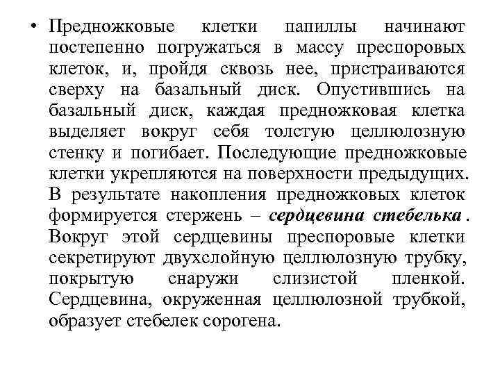  • Предножковые клетки папиллы начинают  постепенно погружаться в массу преспоровых  клеток,