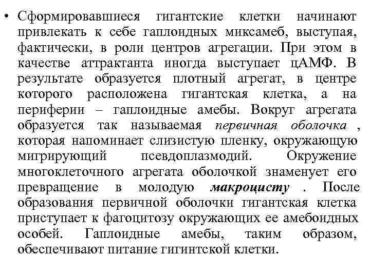  • Сформировавшиеся гигантские клетки начинают  привлекать к себе гаплоидных миксамеб, выступая, 