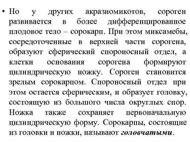  • Но у других акразиомикотов, сороген  развивается в более дифференцированное  плодовое