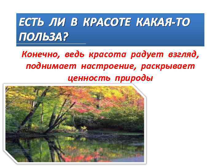 ЕСТЬ ЛИ В КРАСОТЕ КАКАЯ-ТО ПОЛЬЗА? Конечно, ведь красота радует взгляд,  поднимает настроение,