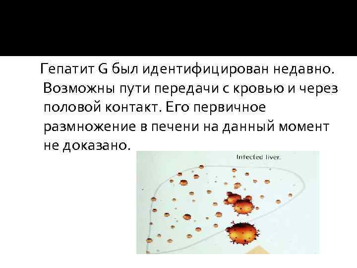 Гепатит G был идентифицирован недавно. Возможны пути передачи с кровью и через половой контакт.