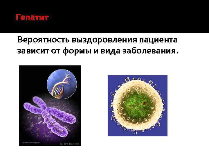 Гепатит – это вирусное инфекционное воспалительное заболевание печени. Вероятность выздоровления пациента зависит от формы