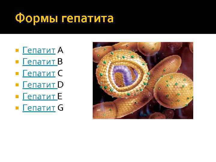 Формы гепатита Гепатит А Гепатит В Гепатит С Гепатит D Гепатит Е Гепатит G