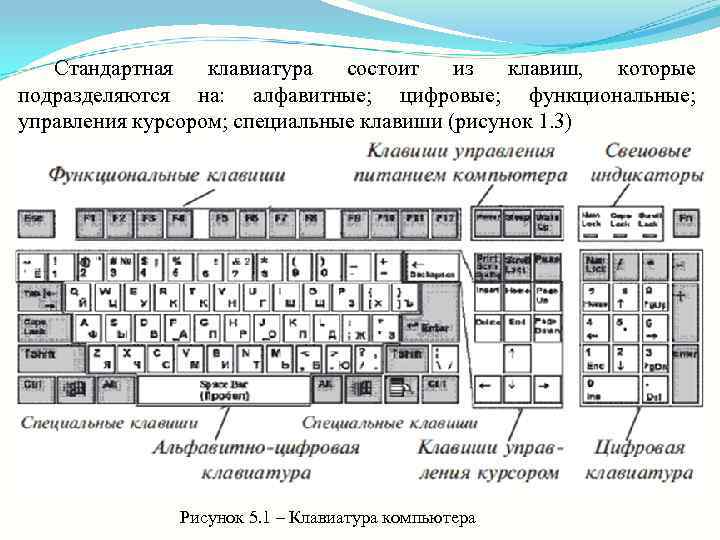   Стандартная клавиатура состоит из клавиш,  которые подразделяются на:  алфавитные; 