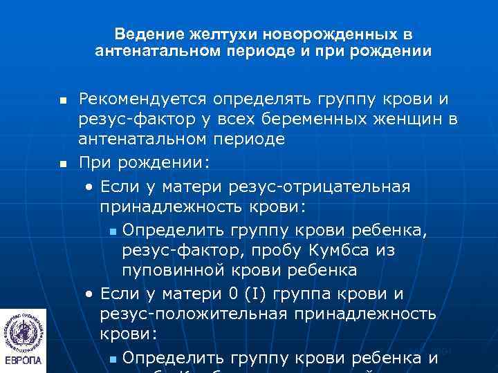   Ведение желтухи новорожденных в  антенатальном периоде и при рождении n 