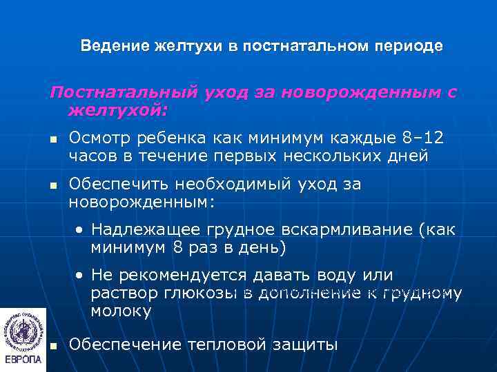  Ведение желтухи в постнатальном периоде Постнатальный уход за новорожденным с желтухой: n 