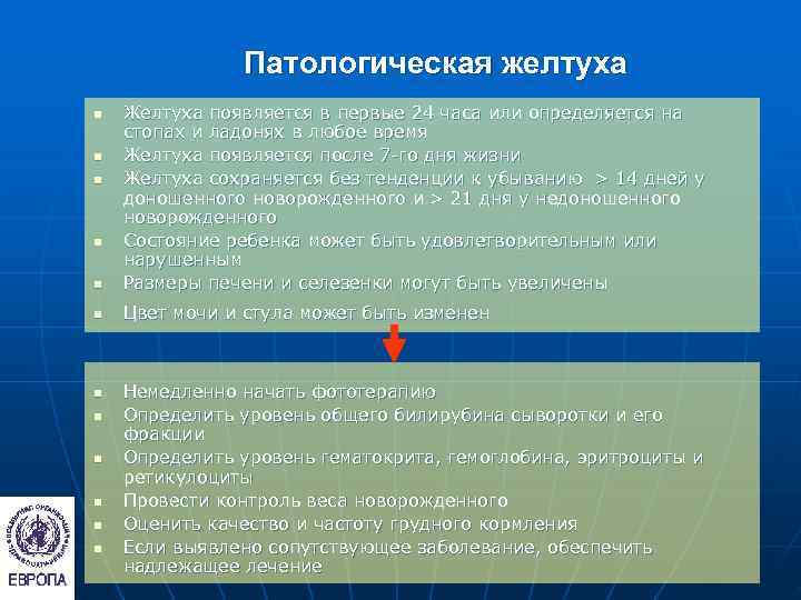     Патологическая желтуха n  Желтуха появляется в первые 24 часа
