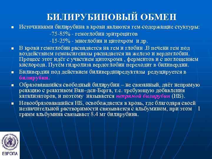    БИЛИРУБИНОВЫЙ ОБМЕН n  Источниками билирубина в крови являются гем-содержащие стуктуры:
