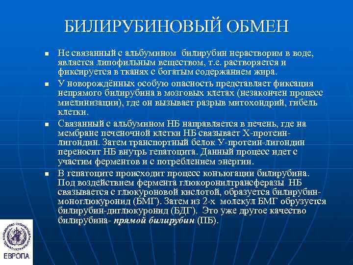  БИЛИРУБИНОВЫЙ ОБМЕН n  Не связанный с альбумином билирубин нерастворим в воде, является