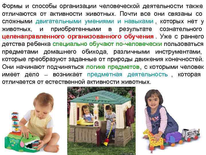 Формы и способы организации человеческой деятельности также отличаются от активности животных.  Почти все