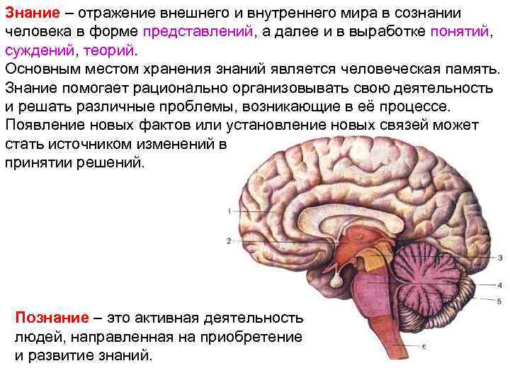 Внешнее отражает внутреннее