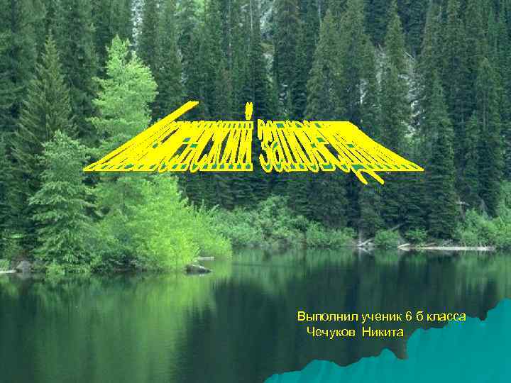 Выполнил ученик 6 б класса Чечуков Никита 