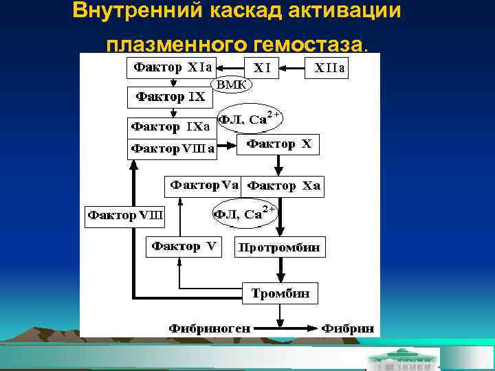 Схема плазменного гемостаза