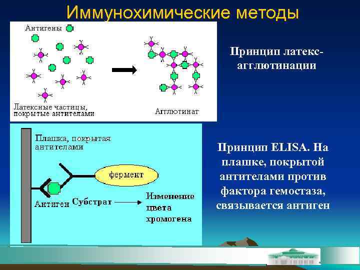 Принцип метода. Иммунохимический метод исследования. Принципы иммунохимических методов. Иммунохимический анализ. Иммунохимический метод анализа.