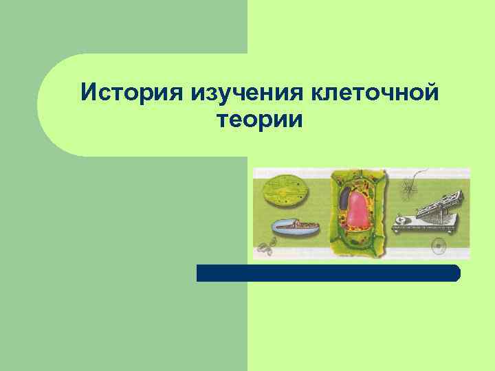История изучения клеточной теории История изучения клеточной теории