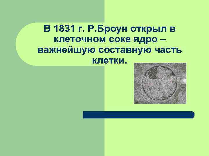 В 1831 г. Р. Броун открыл в клеточном соке ядро – важнейшую В 1831 г. Р. Броун открыл в клеточном соке ядро – важнейшую