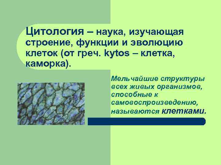 Цитология – наука, изучающая строение, функции и эволюцию клеток (от греч. kytos – клетка, Цитология – наука, изучающая строение, функции и эволюцию клеток (от греч. kytos – клетка,