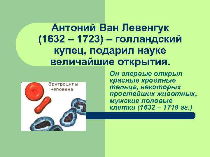 Антоний Ван Левенгук (1632 – 1723) – голландский купец, подарил науке Антоний Ван Левенгук (1632 – 1723) – голландский купец, подарил науке