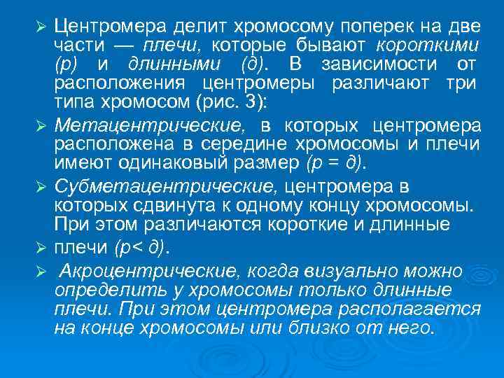 Ø Центромера делит хромосому поперек на две  части — плечи, которые бывают короткими