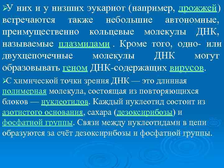 Ø них и у низших эукариот (например,  дрожжей )  У встречаются также