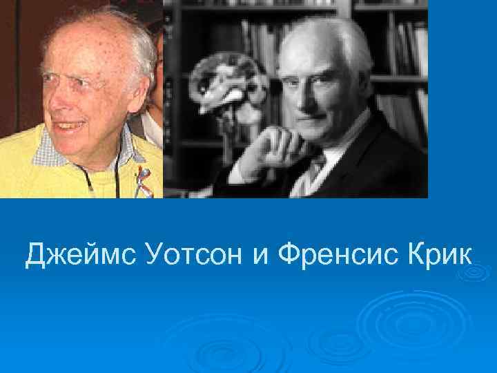 Джеймс Уотсон и Френсис Крик 