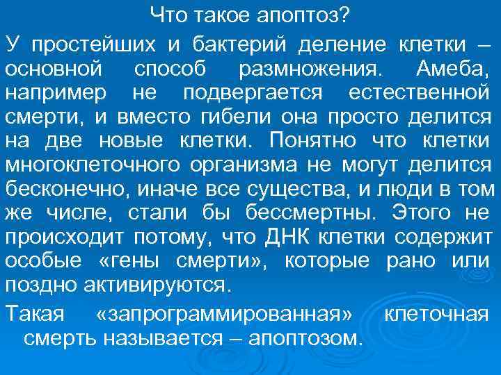    Что такое апоптоз? У простейших и бактерий деление клетки – основной