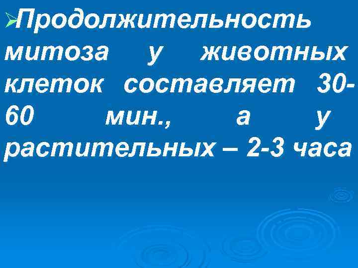 ØПродолжительность митоза у животных клеток составляет 30 - 60  мин. ,  а